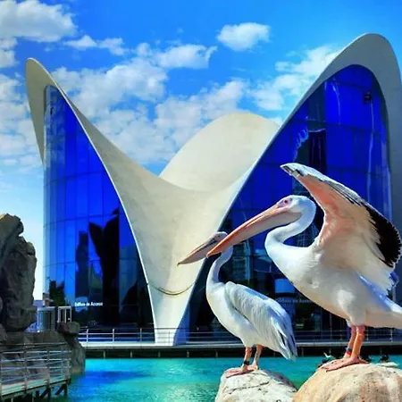 Casa De Playa En Urbanizacion De Lujo En Valencia Vakantiehuis *